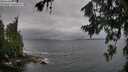 ./images/koeye/fitz-hugh/20260709/fitz-hugh20260709_081001M.jpg