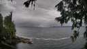 ./images/koeye/fitz-hugh/20260709/fitz-hugh20260709_081501M.jpg