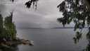 ./images/koeye/fitz-hugh/20260709/fitz-hugh20260709_083001M.jpg