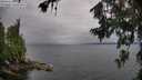 ./images/koeye/fitz-hugh/20260709/fitz-hugh20260709_083501M.jpg