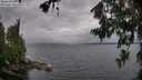 ./images/koeye/fitz-hugh/20260709/fitz-hugh20260709_084501M.jpg