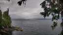 ./images/koeye/fitz-hugh/20260709/fitz-hugh20260709_085502M.jpg