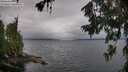 ./images/koeye/fitz-hugh/20260709/fitz-hugh20260709_090002M.jpg