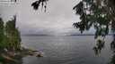 ./images/koeye/fitz-hugh/20260709/fitz-hugh20260709_091001M.jpg