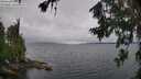 ./images/koeye/fitz-hugh/20260709/fitz-hugh20260709_091501M.jpg