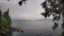 ./images/koeye/fitz-hugh/20260709/fitz-hugh20260709_092001M.jpg
