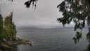 ./images/koeye/fitz-hugh/20260709/fitz-hugh20260709_093001M.jpg