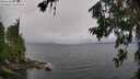./images/koeye/fitz-hugh/20260709/fitz-hugh20260709_094001M.jpg
