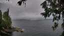 ./images/koeye/fitz-hugh/20260709/fitz-hugh20260709_095001M.jpg