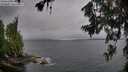 ./images/koeye/fitz-hugh/20260709/fitz-hugh20260709_095502M.jpg