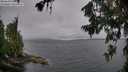 ./images/koeye/fitz-hugh/20260709/fitz-hugh20260709_100501M.jpg
