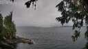 ./images/koeye/fitz-hugh/20260709/fitz-hugh20260709_101001M.jpg