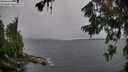 ./images/koeye/fitz-hugh/20260709/fitz-hugh20260709_102001M.jpg
