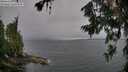 ./images/koeye/fitz-hugh/20260709/fitz-hugh20260709_103002M.jpg