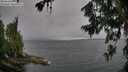 ./images/koeye/fitz-hugh/20260709/fitz-hugh20260709_103501M.jpg