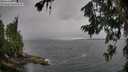 ./images/koeye/fitz-hugh/20260709/fitz-hugh20260709_104001M.jpg