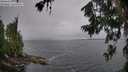 ./images/koeye/fitz-hugh/20260709/fitz-hugh20260709_104502M.jpg
