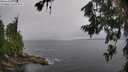 ./images/koeye/fitz-hugh/20260709/fitz-hugh20260709_105501M.jpg