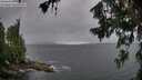./images/koeye/fitz-hugh/20260709/fitz-hugh20260709_110501M.jpg