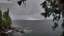 ./images/koeye/fitz-hugh/20260709/fitz-hugh20260709_111002M.jpg