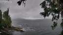 ./images/koeye/fitz-hugh/20260709/fitz-hugh20260709_111501M.jpg