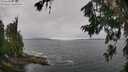 ./images/koeye/fitz-hugh/20260709/fitz-hugh20260709_112002M.jpg