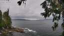 ./images/koeye/fitz-hugh/20260709/fitz-hugh20260709_113001M.jpg
