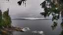 ./images/koeye/fitz-hugh/20260709/fitz-hugh20260709_113502M.jpg