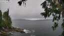 ./images/koeye/fitz-hugh/20260709/fitz-hugh20260709_114002M.jpg