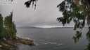 ./images/koeye/fitz-hugh/20260709/fitz-hugh20260709_114501M.jpg