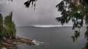 ./images/koeye/fitz-hugh/20260709/fitz-hugh20260709_120002M.jpg