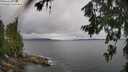 ./images/koeye/fitz-hugh/20260709/fitz-hugh20260709_123501M.jpg