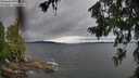 ./images/koeye/fitz-hugh/20260709/fitz-hugh20260709_130001M.jpg