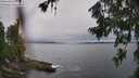 ./images/koeye/fitz-hugh/20260709/fitz-hugh20260709_133001M.jpg