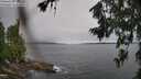 ./images/koeye/fitz-hugh/20260709/fitz-hugh20260709_134501M.jpg