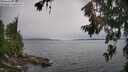 ./images/koeye/fitz-hugh/20260709/fitz-hugh20260709_140002M.jpg