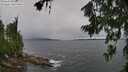 ./images/koeye/fitz-hugh/20260709/fitz-hugh20260709_143001M.jpg