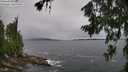 ./images/koeye/fitz-hugh/20260709/fitz-hugh20260709_143501M.jpg