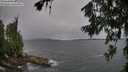 ./images/koeye/fitz-hugh/20260709/fitz-hugh20260709_144501M.jpg
