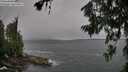 ./images/koeye/fitz-hugh/20260709/fitz-hugh20260709_145501M.jpg