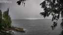./images/koeye/fitz-hugh/20260709/fitz-hugh20260709_153001M.jpg