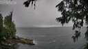 ./images/koeye/fitz-hugh/20260709/fitz-hugh20260709_153501M.jpg