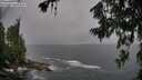 ./images/koeye/fitz-hugh/20260709/fitz-hugh20260709_171501M.jpg
