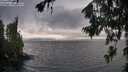 ./images/koeye/fitz-hugh/20260709/fitz-hugh20260709_203002M.jpg