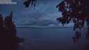 ./images/koeye/fitz-hugh/20260709/fitz-hugh20260709_223501M.jpg