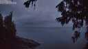 ./images/koeye/fitz-hugh/20260710/fitz-hugh20260710_044501M.jpg