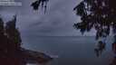 ./images/koeye/fitz-hugh/20260710/fitz-hugh20260710_045001M.jpg