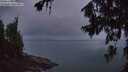 ./images/koeye/fitz-hugh/20260710/fitz-hugh20260710_045501M.jpg