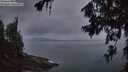 ./images/koeye/fitz-hugh/20260710/fitz-hugh20260710_050001M.jpg