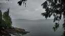 ./images/koeye/fitz-hugh/20260710/fitz-hugh20260710_053501M.jpg
